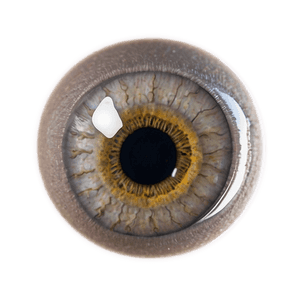 Scary Eyes in Darkness PNG 66 PNG image with transparent background