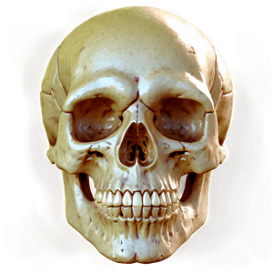 Scary Halloween Skull PNG gnd33 PNG image with transparent background