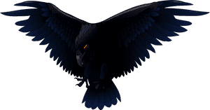 Scary Raven Png Vector Clipart - Raven Vector, Transparent Png PNG image with transparent background