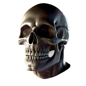 Scary Skull Face Portrait Png 73 PNG Image