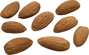 50682 - Almond High Resolution, HD Png Download PNG with transparent background
