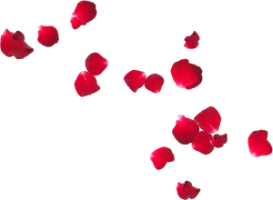 Scattered Red Rose Petalson Grey PNG Image