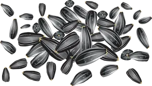 Scattered Sunflower Seeds Background PNG Image