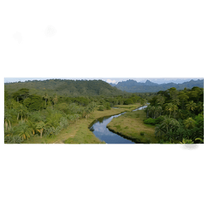 Scenic Nature Trail PNG 06202024 PNG with transparent background