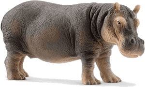 Schleich Hippo, HD Png Download PNG image with transparent background