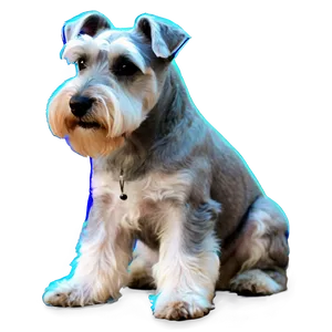 Schnauzer Guard Dog Pose Png 2 PNG Image