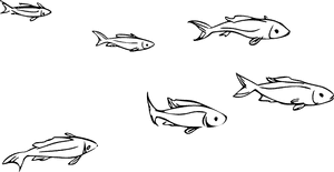 School Of Fish Png, Transparent Png PNG image with transparent background
