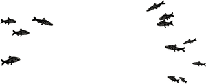 School Of Fish Png - Transparent School Of Fish, Png Download PNG image with transparent background