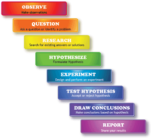 Scientific Method Steps, HD Png Download PNG