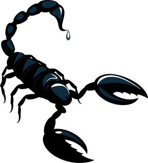 Scorpio Zodiac Sign Artwork PNG with transparent background