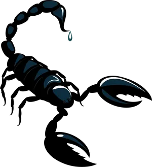 Scorpio Zodiac Sign Artwork PNG Image