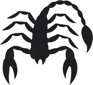 Scorpio Zodiac Silhouette PNG Image