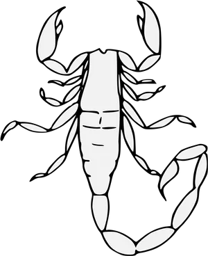 Scorpion_ Line_ Art_ Illustration.png PNG Image