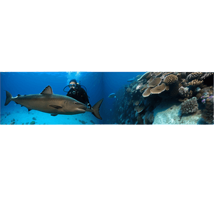 Scuba Adventure PNG rlm95 PNG with transparent background