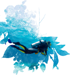 Scuba Diver Underwater Exploration PNG image with transparent background