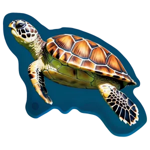 Sea Turtle Conservation Graphic Png 4 PNG Image