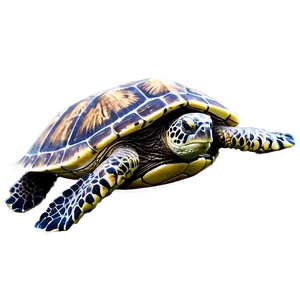 Sea Turtle Conservation Graphic Png Ljk90 PNG Image