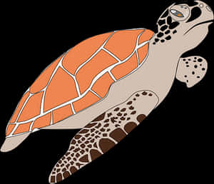 Sea Turtle Illustration PNG image with transparent background