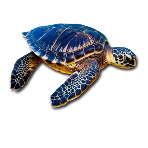 Sea Turtle On Beach Sunset Png 06292024 PNG Image