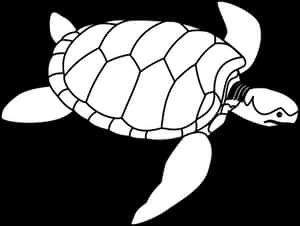 Sea Turtle Outline Illustration PNG image with transparent background