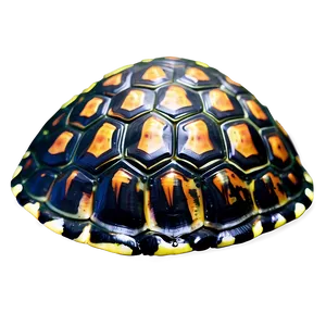 Sea Turtle Shell Texture Close-up Png 69 PNG Image