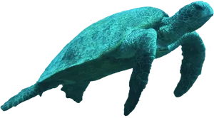 Sea Turtle Swimmingin Dark Waters.jpg PNG Image