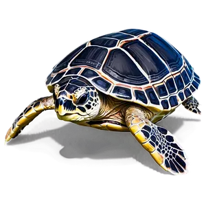 Sea Turtles A PNG Image