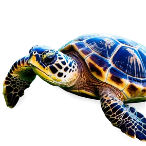 Sea Turtles Swimming Png Opj51 PNG Image