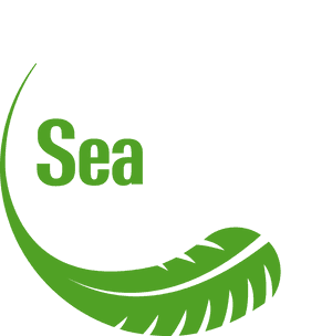 Seaweed Clipart Png , Png Download - Illustration, Transparent Png PNG with transparent background