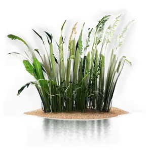 Seagrass Background Png 06292024 PNG Image