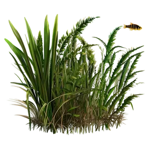 Seagrass Drawing Png Naa95 PNG Image