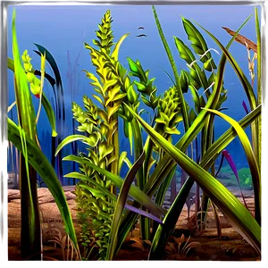 Seagrass Landscape Png Vln14 PNG Image