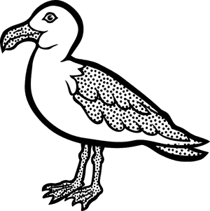 Seagull Png, Transparent Png PNG image with transparent background