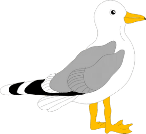 Cartoon Seagull Svg Clip Arts - Gull Clipart, HD Png Download PNG image with transparent background