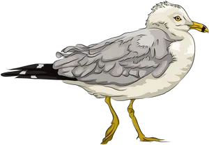 Seagull Profile Illustration PNG Image