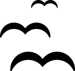 Three Seagulls - Seagulls Vector, HD Png Download PNG image with transparent background