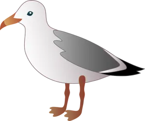 Seagull Vector Illustration PNG Image