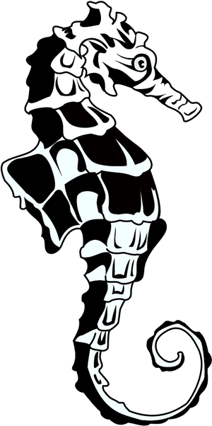 Seahorse - Clip Art, HD Png Download PNG image with transparent background