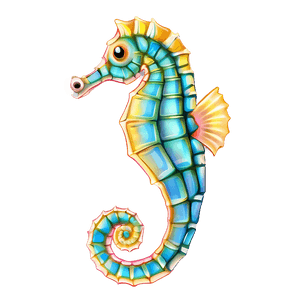 Seahorse Illustration PNG bkq51 PNG image with transparent background