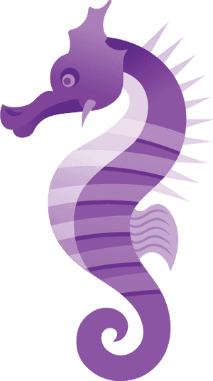 Seahorse Png - Seahorse Icon, Transparent Png PNG image with transparent background