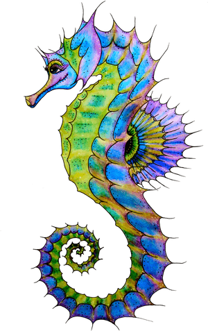 Seahorse Png Transparent Image - Transparent Seahorse Png, Png Download PNG image with transparent background