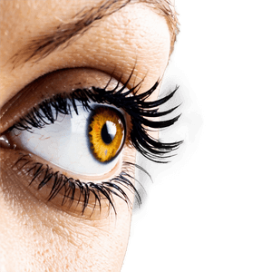 Seamless Eyelashes PNG byp57 PNG