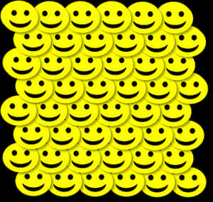 Seaof Smiles PNG with transparent background