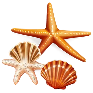 Seashell And Starfish Clipart Png 83 PNG Image