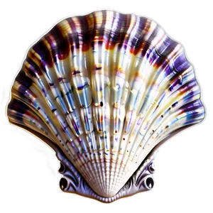 Seashell Clipart D PNG Image