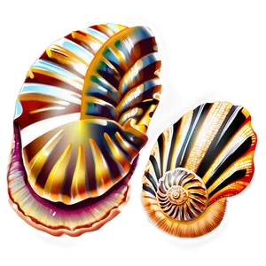 Seashell Clipart Png Ljl42 PNG Image