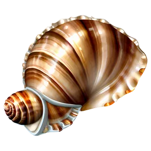 Seashell Clipart Png Mej89 PNG Image