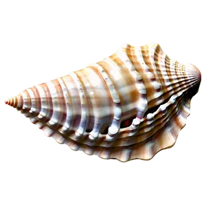 Seashell Dream Png 06132024 PNG Image