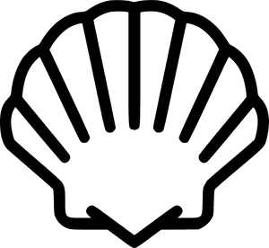 Seashell - Clam Shell Printable Template, HD Png Download PNG image with transparent background