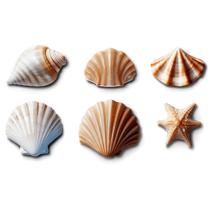 Seashell Icons PNG iku PNG